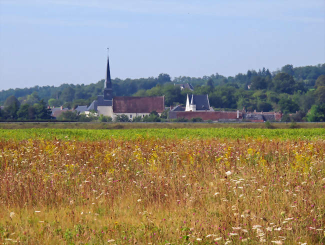 Angé - Angé (41400) - Loir-et-Cher