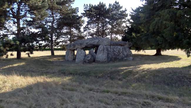 Le dolmen de la Pierre Levée - La Chapelle-Vendômoise (41330) - Loir-et-Cher