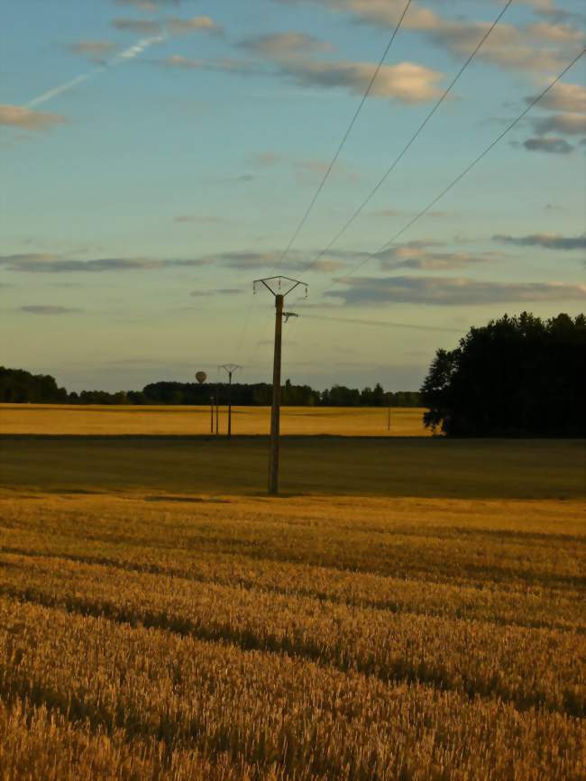 Alentours de Chitenay - Crédits: Val Ouaine/Panoramio/CC by SA