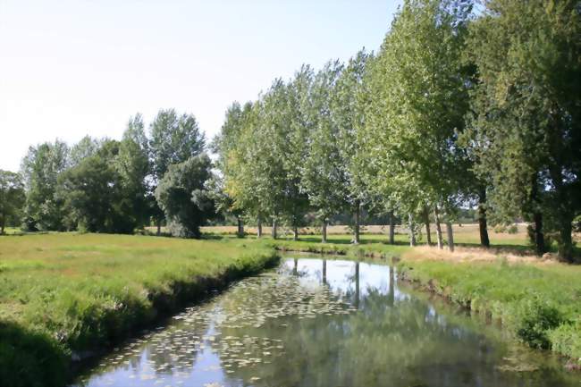 Canal à Chouzy-sur-Cisse - Crédits: isabelle fortin/Panoramio/CC by SA