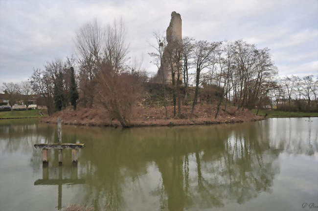 La Tour - Coulommiers-la-Tour (41100) - Loir-et-Cher