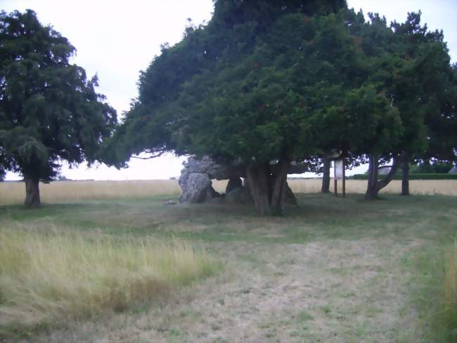 Dolmen prés de Fossé - Crédits: frisathierry/Panoramio/CC by SA