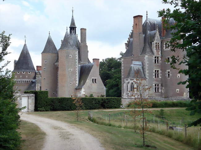 Le château du Moulin - Lassay-sur-Croisne (41230) - Loir-et-Cher