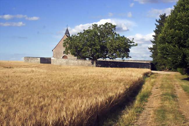 La Madeleine, l'église Sainte-Madeleine - La Madeleine-Villefrouin (41370) - Loir-et-Cher