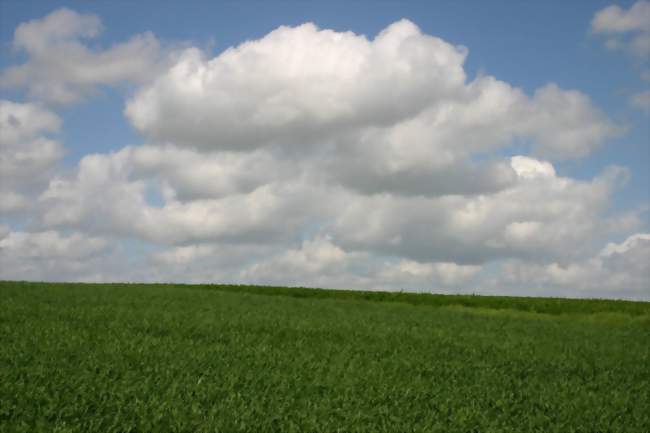 Aide agricole en polyculture