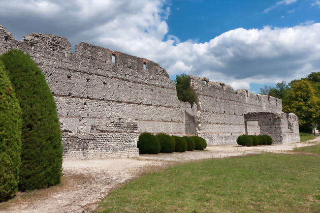 Bâtiment des Maselles (ruines gallo-romaines) - Thésée (41140) - Loir-et-Cher