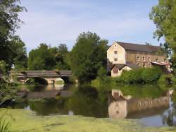 Vide Grenier Cellettes