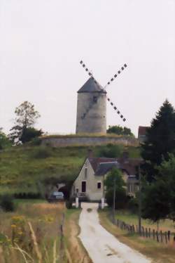 photo Préparateur(trice)-vendeur(se) en restauration rapide