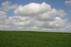 photo Aide agricole en polyculture