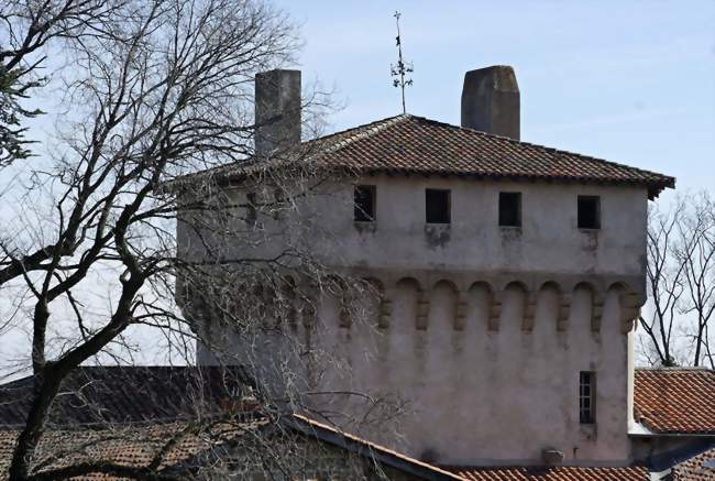 Le château - Chenereilles (42560) - Loire