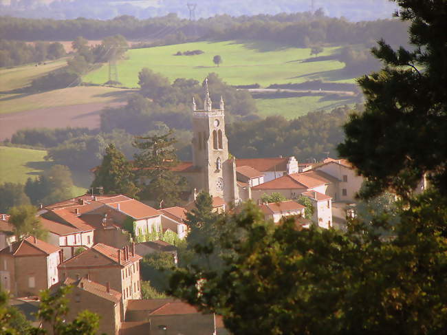 Rozier-en-Donzy - Rozier-en-Donzy (42810) - Loire