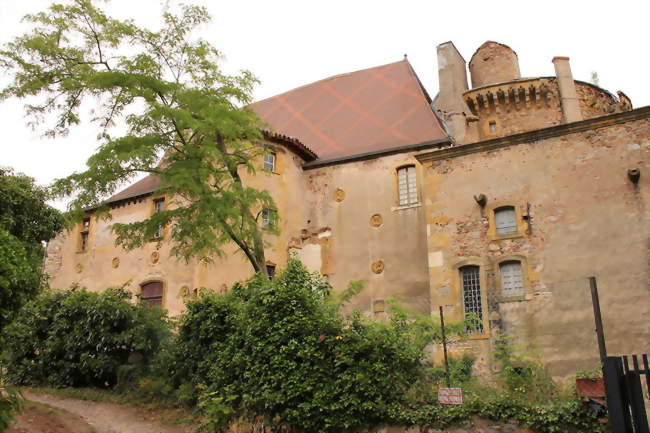 Le Château - Saint-André-d'Apchon (42370) - Loire