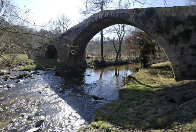 Le Pont du Diable - Saint-Marcellin-en-Forez (42680) - Loire