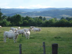 photo Chalain-d'Uzore