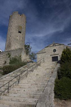 Aide-charcutier / Aide-charcutière