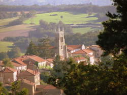 photo Marché hebdomadaire