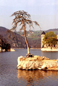 photo Saint-Priest-la-Roche