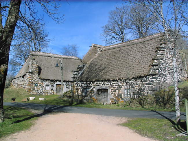 Chaumière du Mezenc - Saint-Front (43550) - Haute-Loire