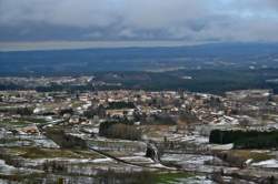 Balade avec des ânes