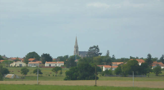 Aigrefeuille-sur-Maine vue du sud - Aigrefeuille-sur-Maine (44140) - Loire-Atlantique