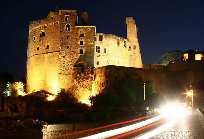 Vue nocturne du château de Clisson - Clisson (44190) - Loire-Atlantique