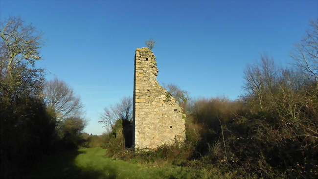 Ruines du château de Lorieux - Crossac (44160) - Loire-Atlantique