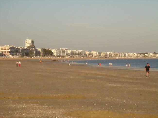 Hôte / Hôtesse d'accueil