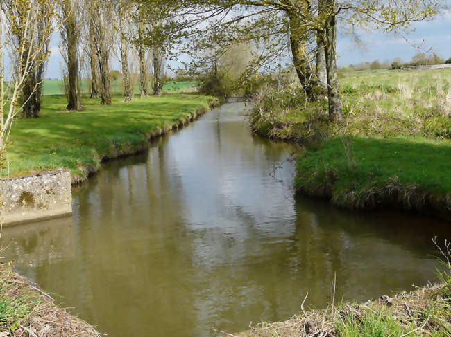 Le Beusse, en amont du plan d'eau Le Pont Cornouaille - Mésanger (44522) - Loire-Atlantique