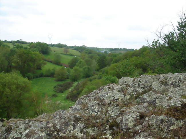 Vallée du ruisseau de Bray - Montrelais (44370) - Loire-Atlantique