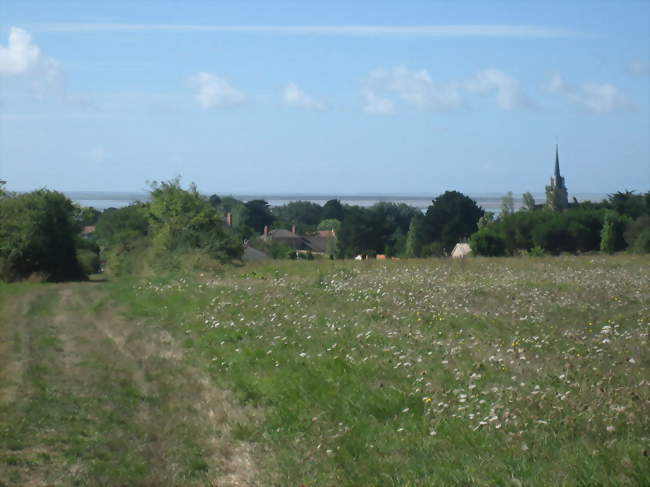 L'église du village vue d'un pré - Les Moutiers-en-Retz (44760) - Loire-Atlantique