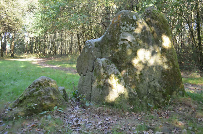 Menhir des Dames de Pierre - Pont-Saint-Martin (44860) - Loire-Atlantique