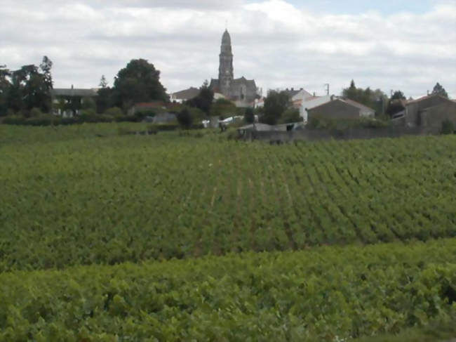 Saint-Fiacre-sur-Maine - Saint-Fiacre-sur-Maine (44690) - Loire-Atlantique