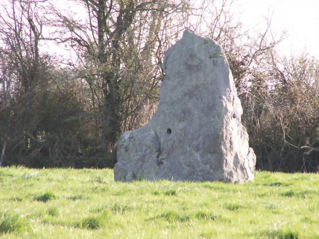 Le menhir de la Riverais - Saint-Père-en-Retz (44320) - Loire-Atlantique