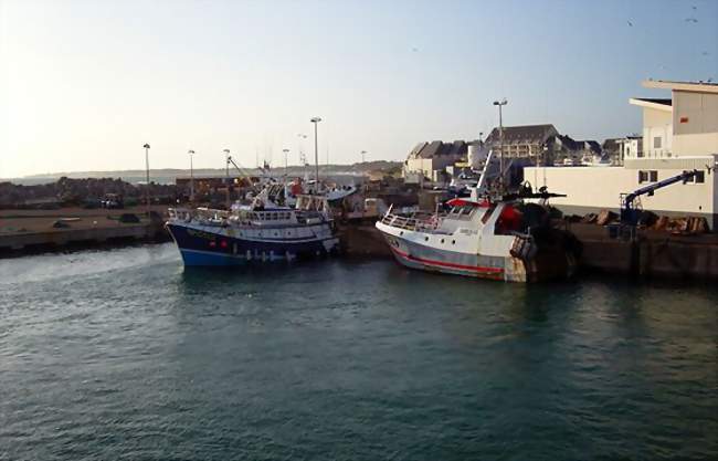 Le port de pêche - La Turballe (44420) - Loire-Atlantique