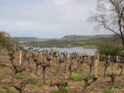 photo BALADE DÉCOUVERTE SUR LA LOIRE