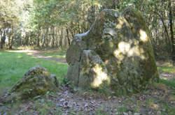 photo Chargé / Chargée de recouvrement de créances
