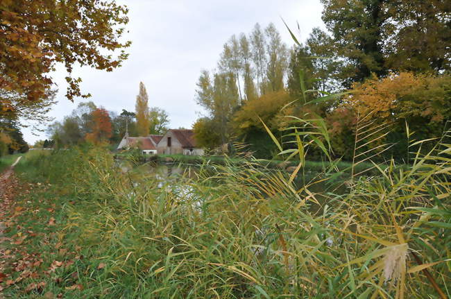 Le canal d'Orléans à Chailly-en-Gâtinais - Chailly-en-Gâtinais (45260) - Loiret