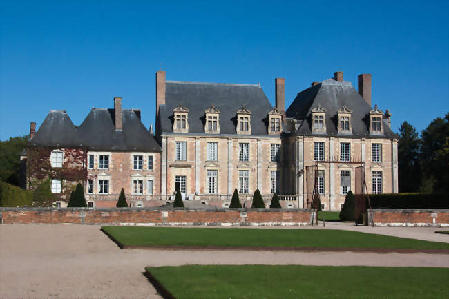 Le château - La Ferté-Saint-Aubin (45240) - Loiret
