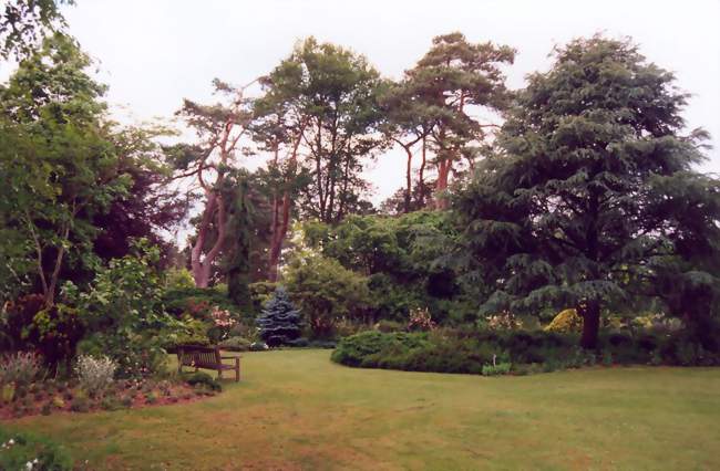 L'arboretum des Grandes Bruyères à Ingrannes - Ingrannes (45450) - Loiret