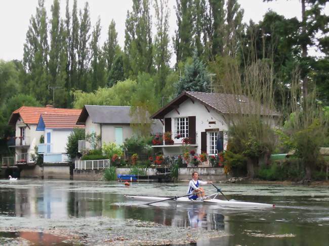 Rives du Loiret à Olivet - Olivet (45160) - Loiret