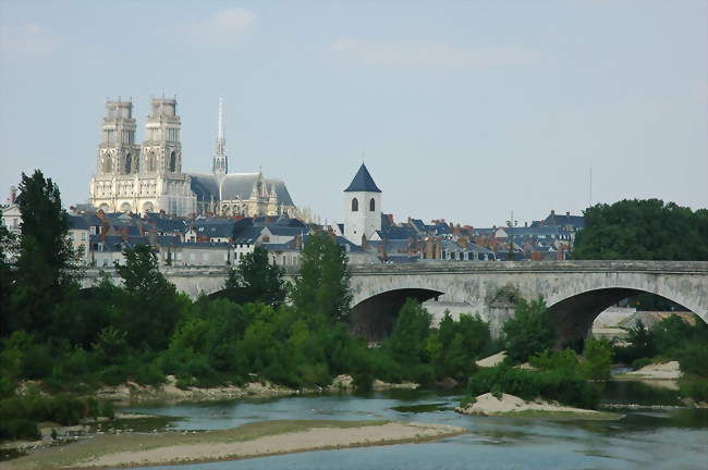 La cathédrale Sainte Croix d\'Orléans