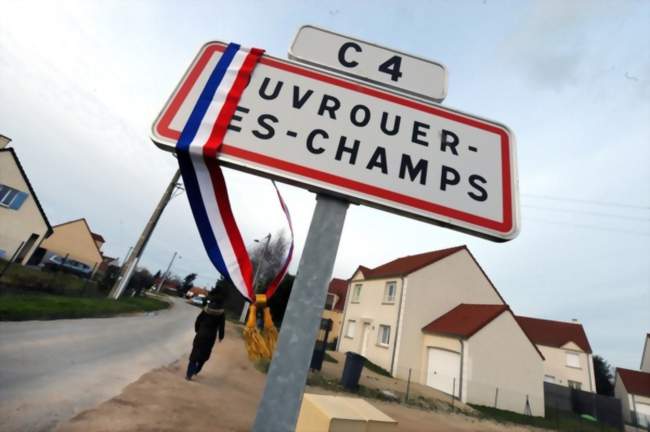 Ouvrier / Ouvrière de culture maraîchère