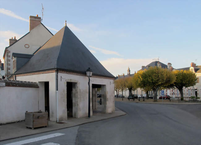 Saint-Benoît-sur-Loire - Saint-Benoît-sur-Loire (45730) - Loiret