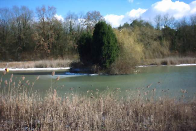 Etang aux alentours de Sermaises - Crédits: y45300/Panoramio/CC by SA