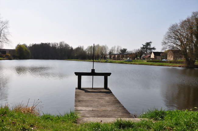 L'étang du site de Grignon - Vieilles-Maisons-sur-Joudry (45260) - Loiret
