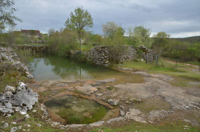 Lac Saint-Namphase dans la forêt de la Braunhie - Caniac-du-Causse (46240) - Lot