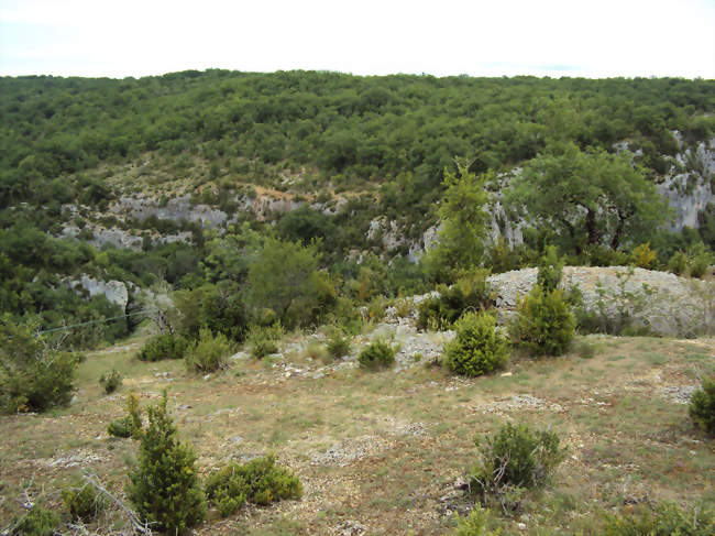 L'oppidum de Murcens - Cras (46360) - Lot