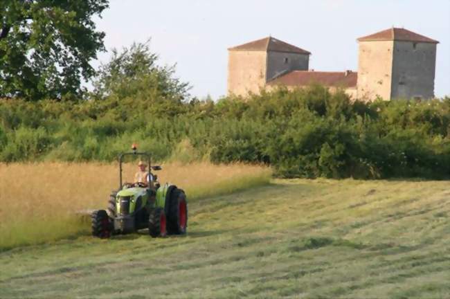 Château - Floressas (46700) - Lot