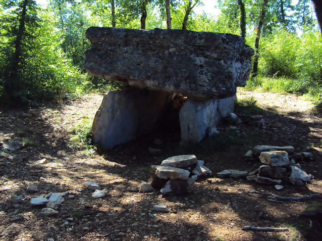 Le dolmen de Pech-Lapeyre - Limogne-en-Quercy (46260) - Lot
