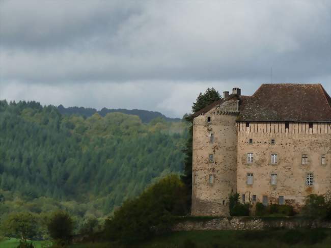 Château de Puy-Launay - Linac (46270) - Lot